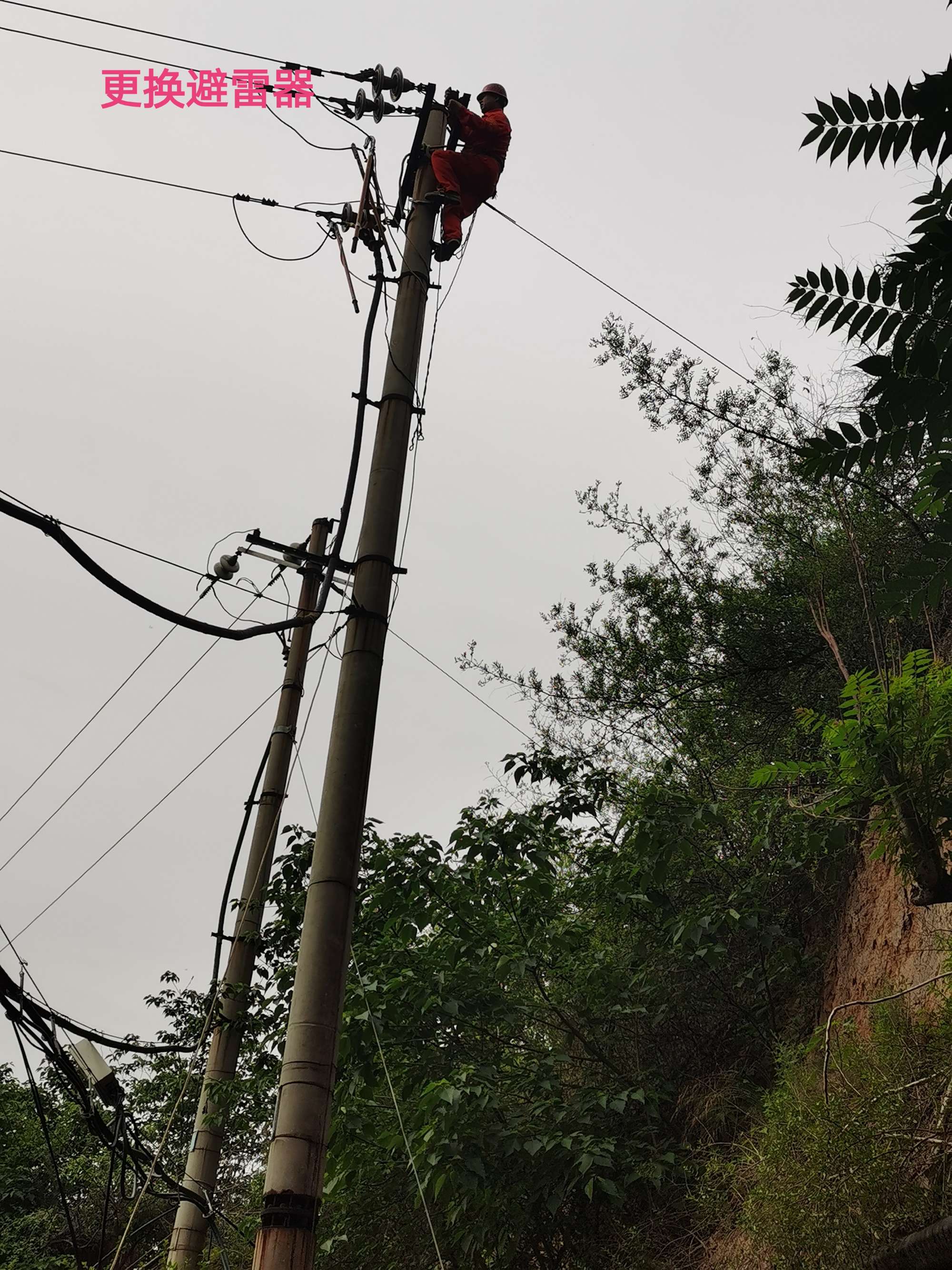 LOL押注正规APP:安庆供电：电力线路隐患排查 保障景区节日供电